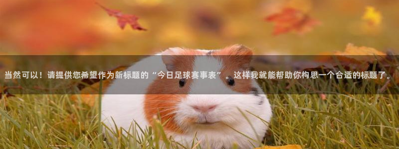 当然可以！请提供您希望作为新标题的“今日足球赛事表”。这样我就能帮助你构思一个合适的标题了。