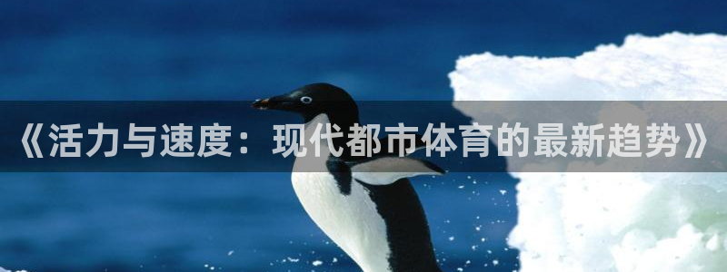 《活力与速度：现代都市体育的最新趋势》