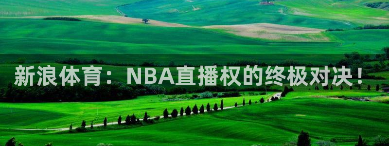 新浪体育：NBA直播权的终极对决！