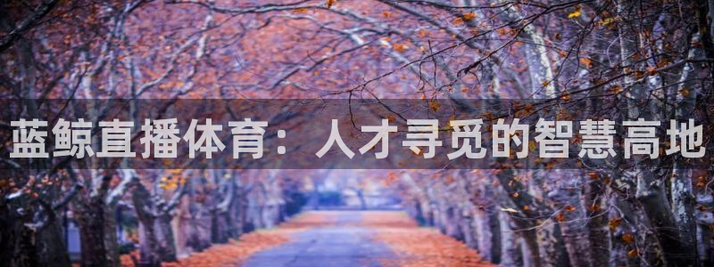 蓝鲸直播体育：人才寻觅的智慧高地