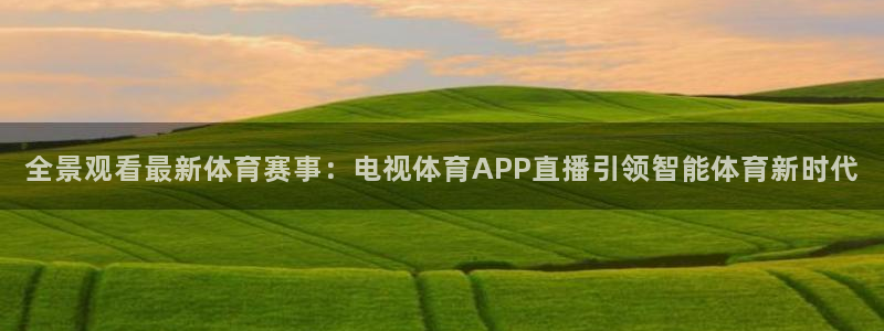 全景观看最新体育赛事：电视体育APP直播引领智能体育新时代