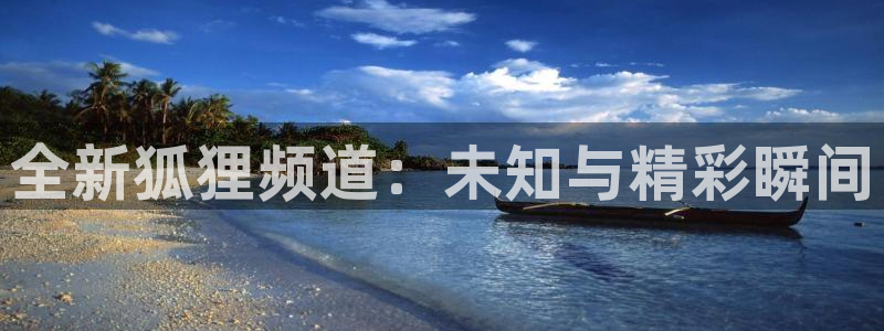 全新狐狸频道：未知与精彩瞬间