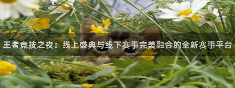 王者竞技之夜：线上盛典与线下赛事完美融合的全新赛事平台
