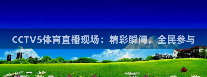CCTV5体育直播现场：精彩瞬间，全民参与