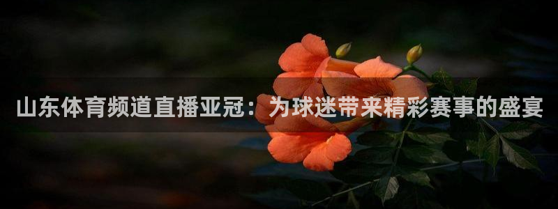 山东体育频道直播亚冠：为球迷带来精彩赛事的盛宴