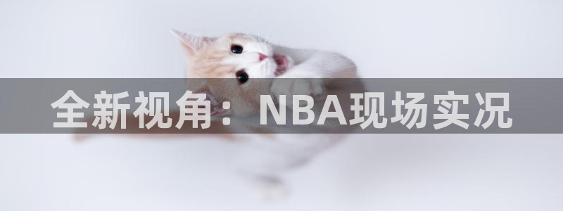 全新视角：NBA现场实况