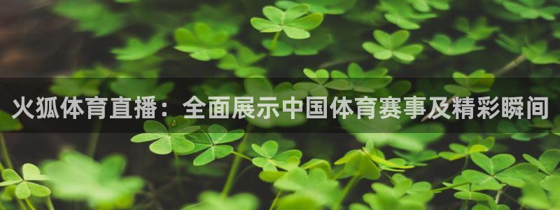 火狐体育直播：全面展示中国体育赛事及精彩瞬间