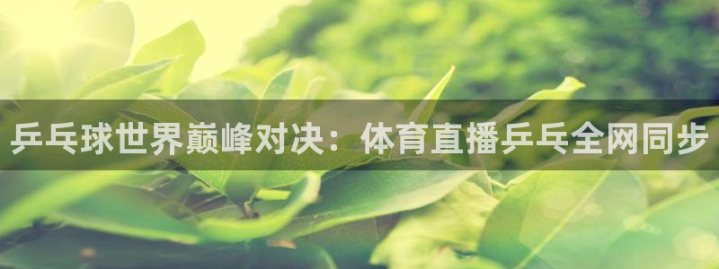 乒乓球世界巅峰对决：体育直播乒乓全网同步