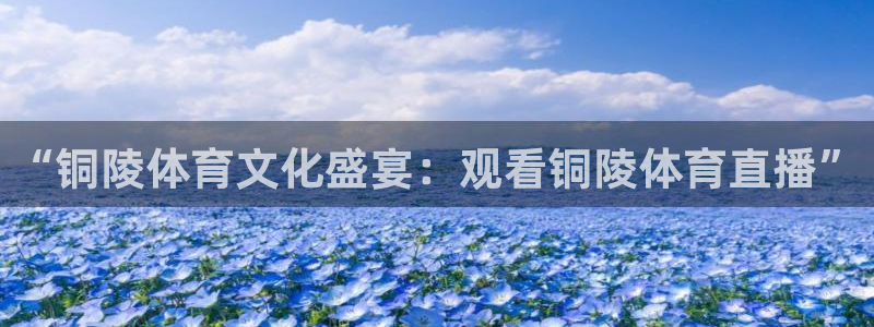 “铜陵体育文化盛宴：观看铜陵体育直播”