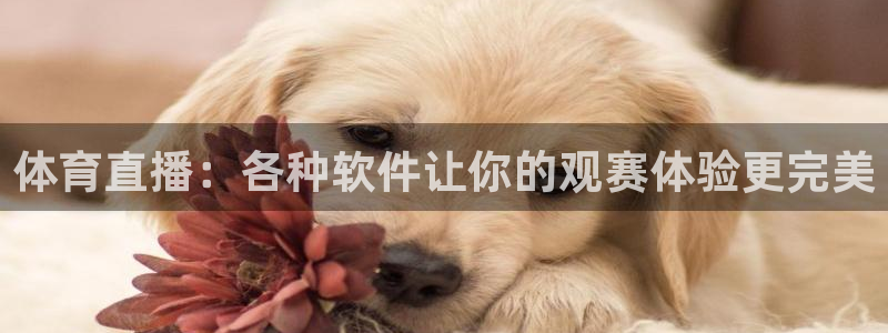 体育直播：各种软件让你的观赛体验更完美