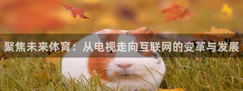 聚焦未来体育：从电视走向互联网的变革与发展