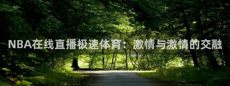 NBA在线直播极速体育：激情与激情的交融