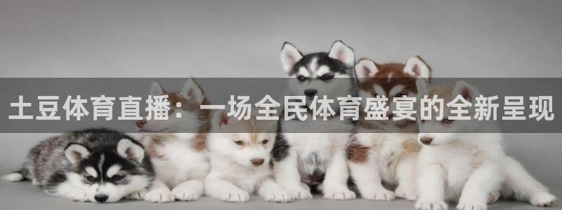 土豆体育直播：一场全民体育盛宴的全新呈现