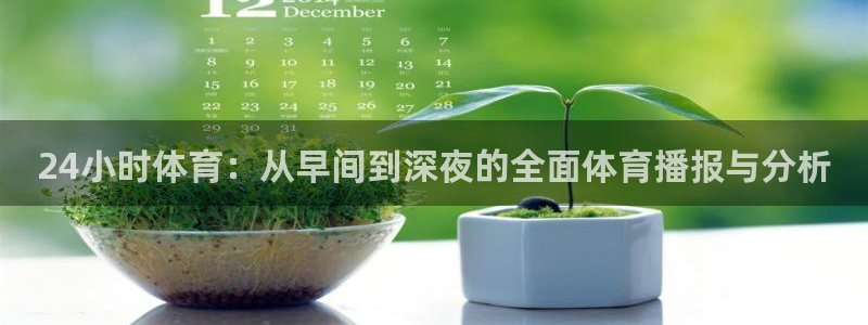 24小时体育：从早间到深夜的全面体育播报与分析