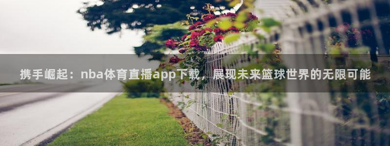 携手崛起：nba体育直播app下载，展现未来篮球世界的无限可能